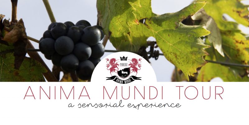 Anima-Mundi-Tour-19-maggio-2016-Degustazione-Vino-Visita-Guidata