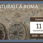 Vignaioli Naturali roma