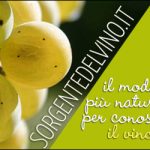 sorgentedelvino