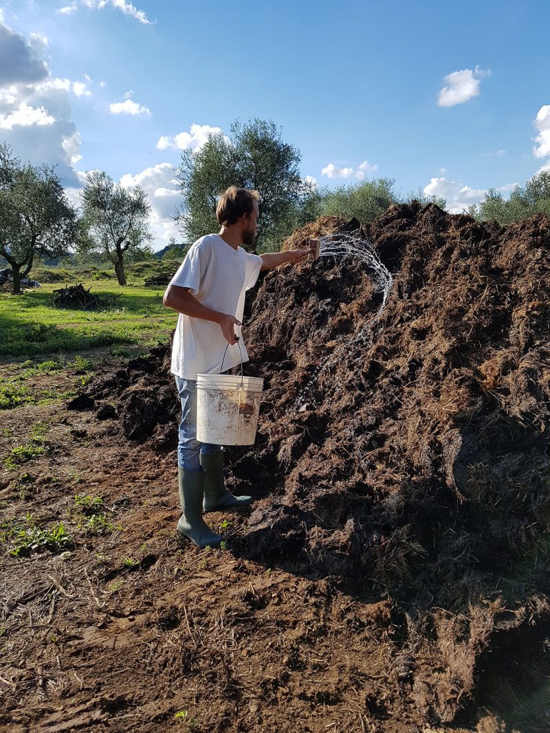 biodynamic farming