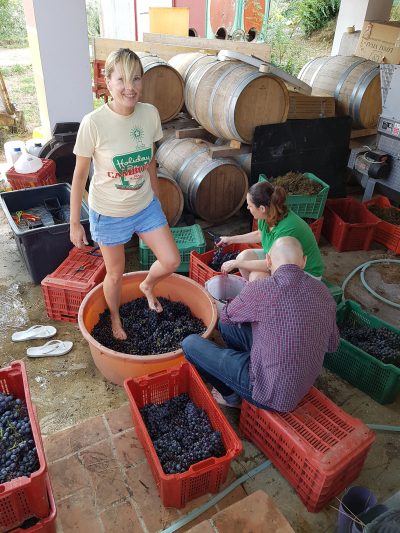 grape pressing by feet