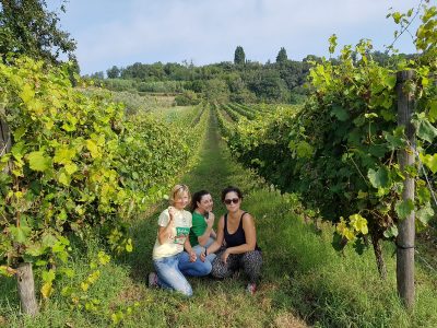 donne vino toscano