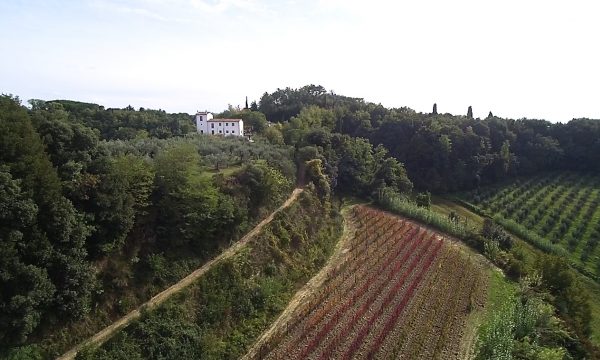 aerea veduta aerea anima mundi