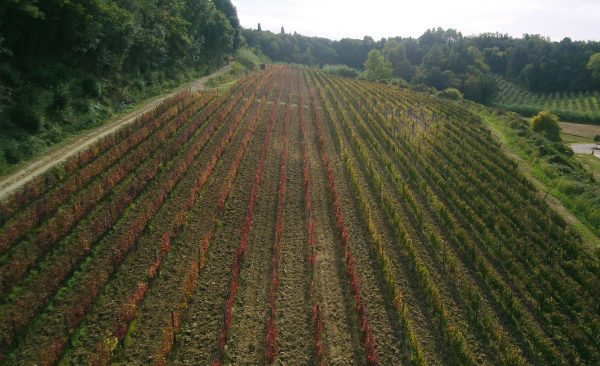 vigna 2 venti 2 venti birth